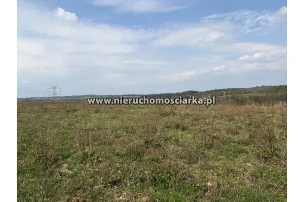 wodzisławski, Lubomia, Działka rolna przy lesie Lubomia ul. Polna
