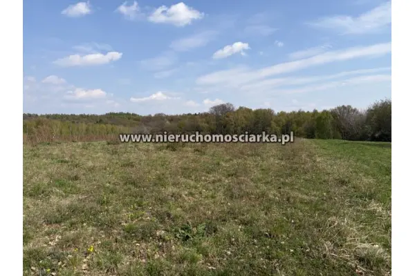 wodzisławski, Lubomia, Działka rolna przy lesie Lubomia ul. Polna