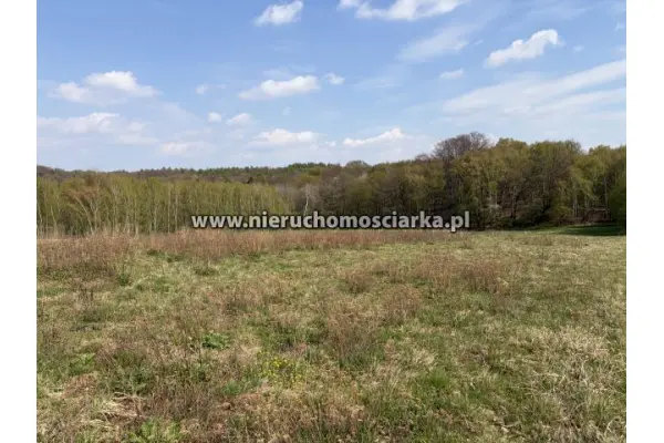 wodzisławski, Lubomia, Działka rolna przy lesie Lubomia ul. Polna
