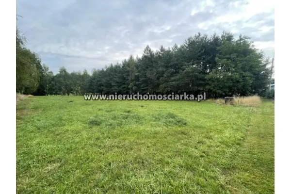 wodzisławski, Wodzisław Śląski, Duża działka budowlana 32 ary Wodzisław Śląski